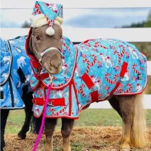48-50 mini horse blanket Candy Cane Pony Blanket - Blue